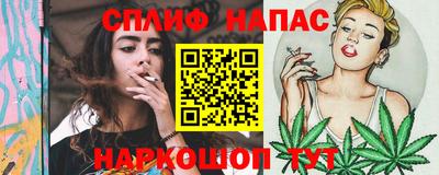гашик Янаул
