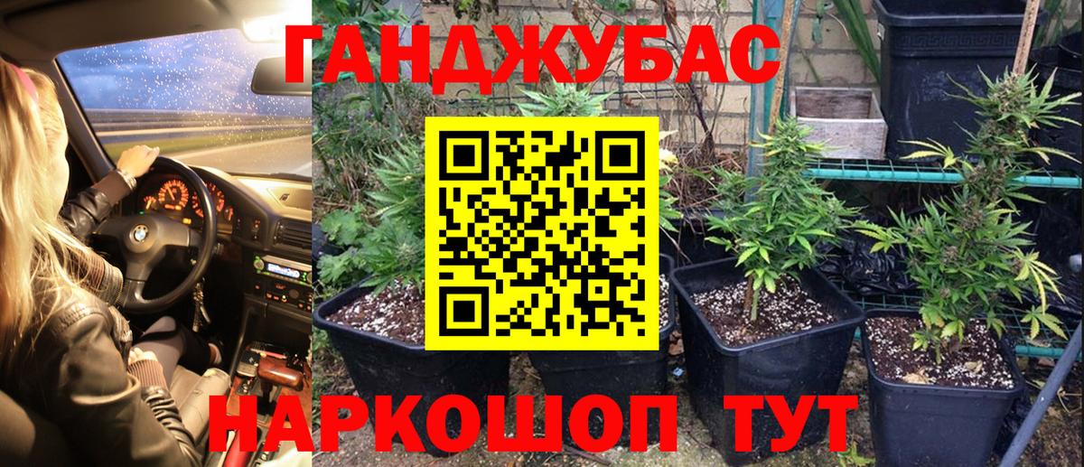 Шишки марихуана Bruce Banner  Шишки марихуана планчик  Советский  Марихуана индика  Конопля Bruce Banner  Вход с VPN 